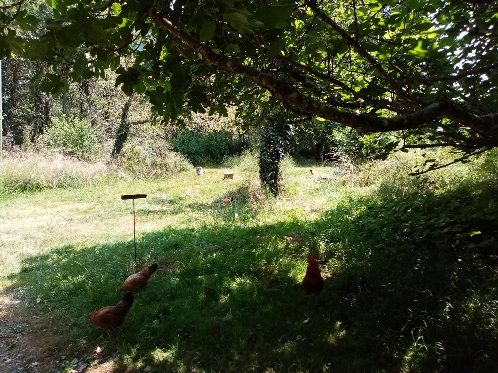 Ricouch, D'hotes Et Permaculture Homestay