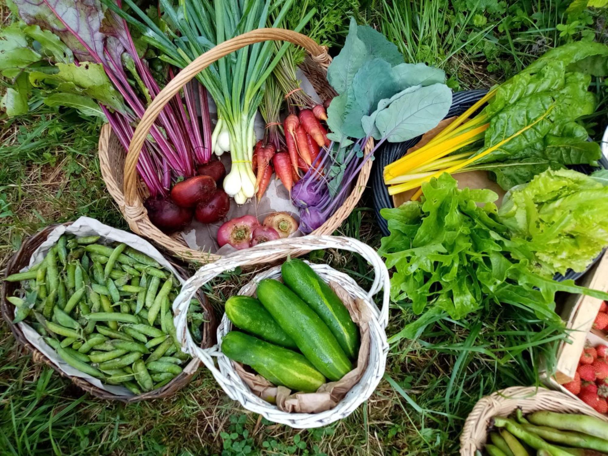 Ricouch, D'hotes Et Permaculture Privatunterkunft Momuy