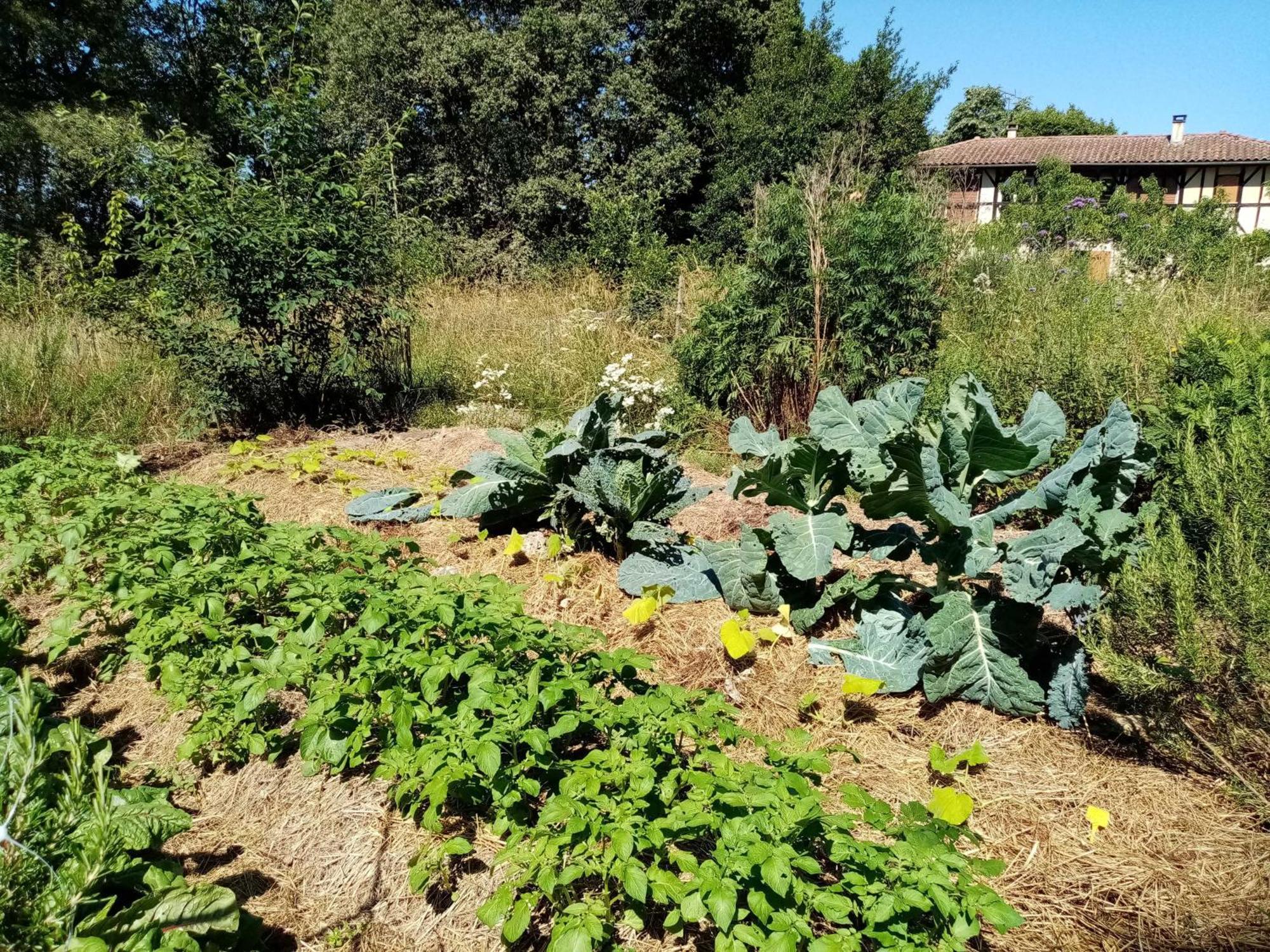 Ricouch, D'hotes Et Permaculture * Momuy