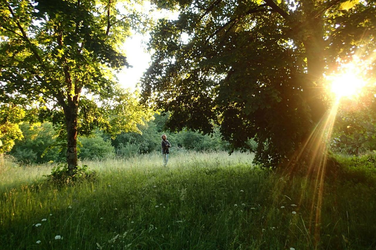 Ricouch, D'hotes Et Permaculture *