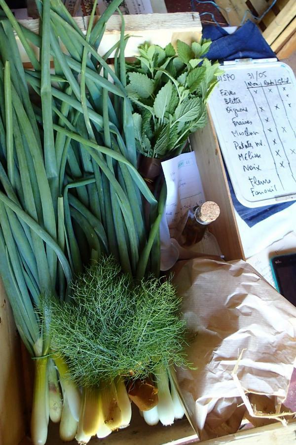 Ricouch, D'hotes Et Permaculture * Momuy