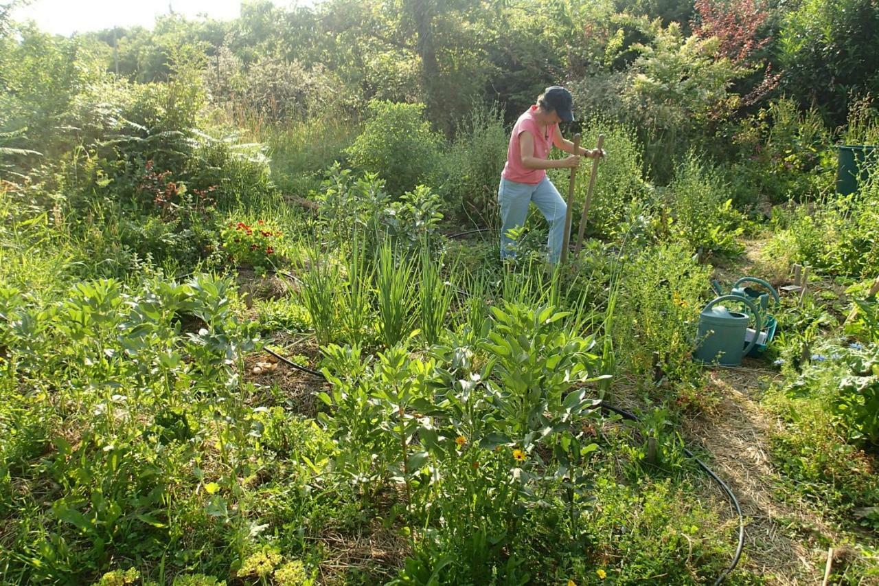 Ricouch, D'hotes Et Permaculture * Momuy