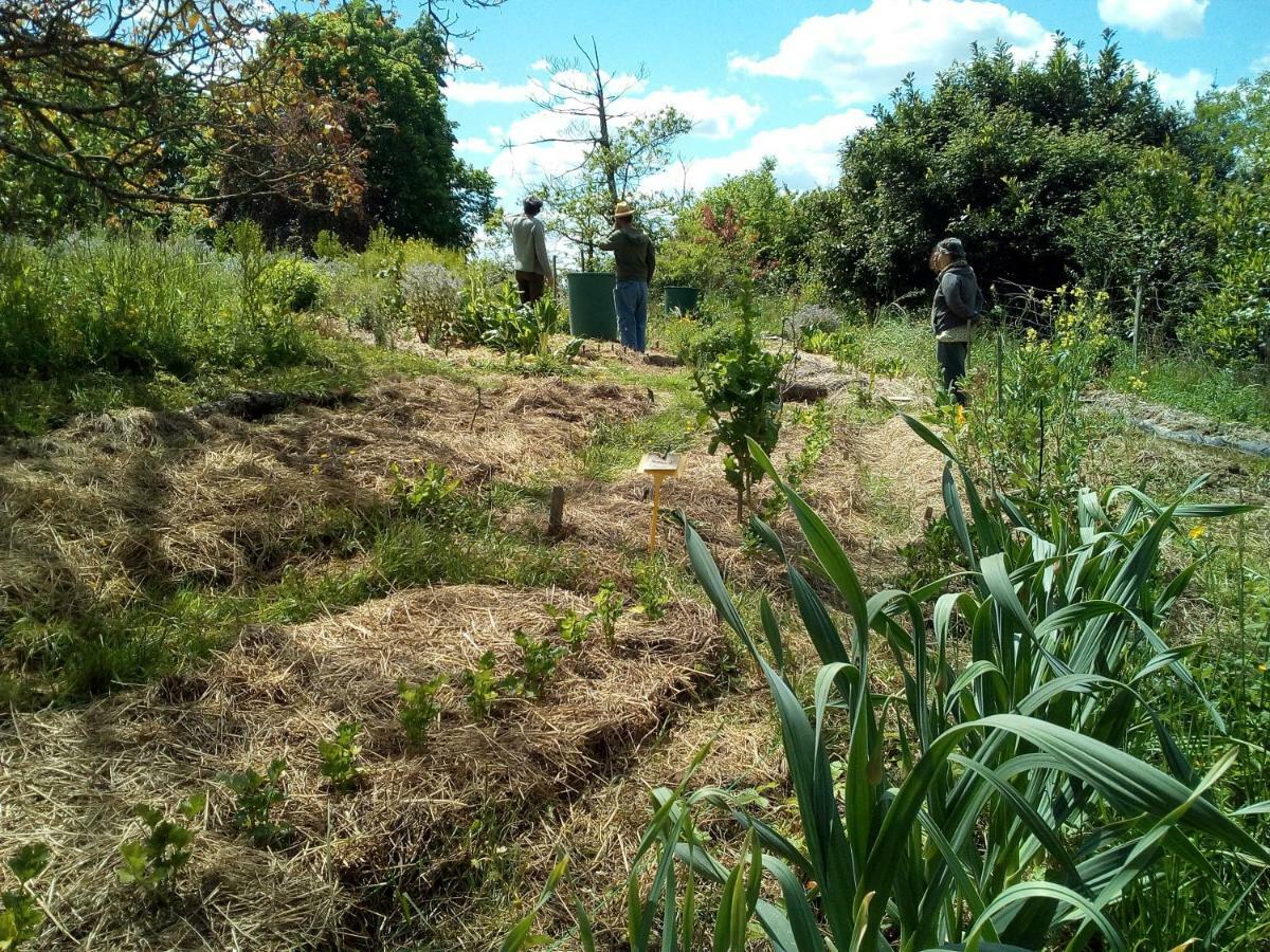 Privatunterkunft Ricouch, D'hotes Et Permaculture Momuy